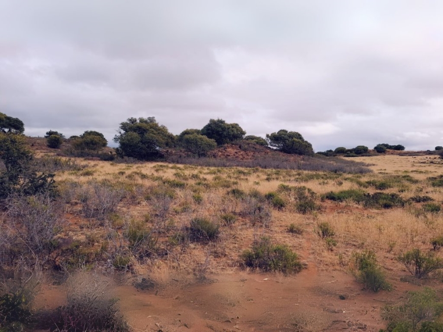 4 Bedroom Property for Sale in Bloemfontein Rural Free State